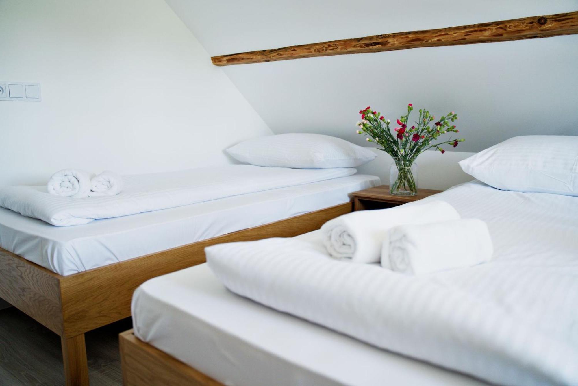 Nadwislanska - Lipowa, 11km Od Zator, Energylandia Apartment *